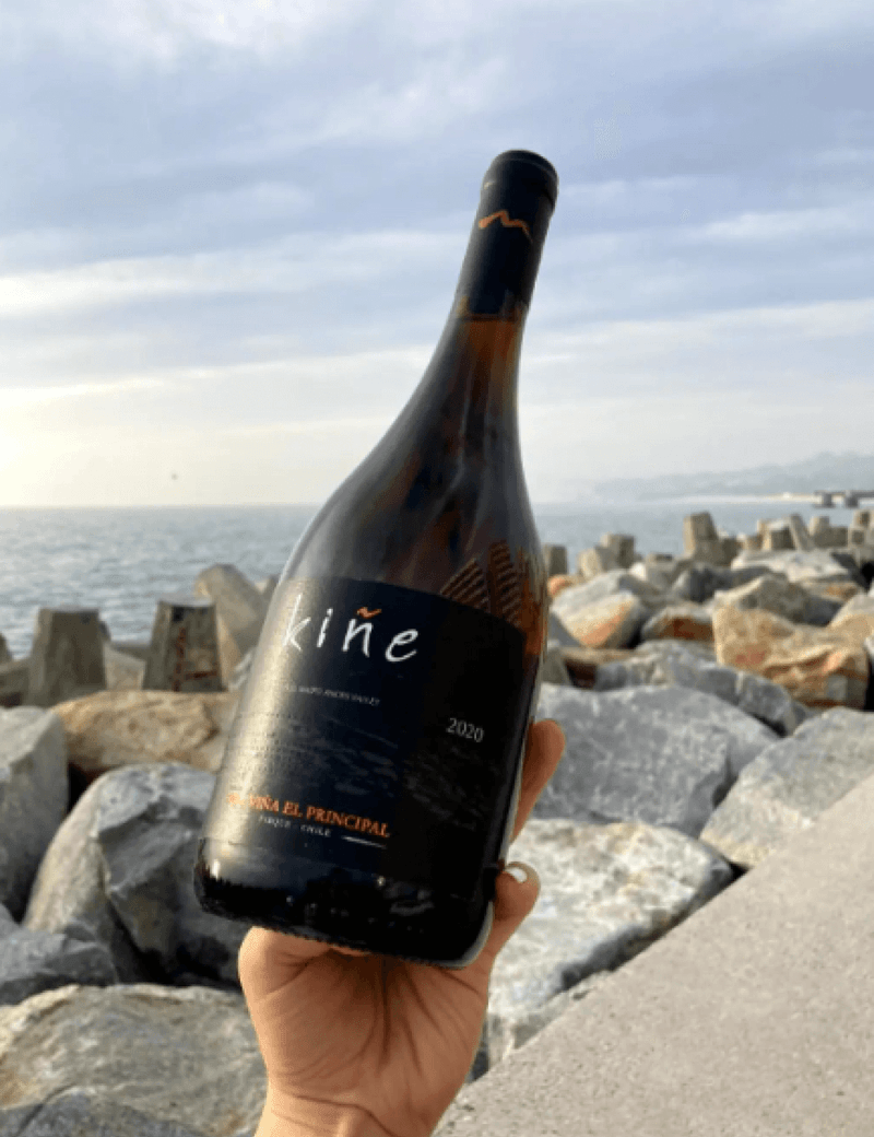 vinho-tinto-chile-el-principal-kine