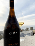 vinho-chileno-el-princial-kine