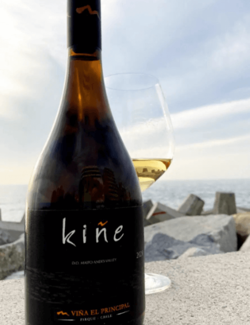 vinho-chileno-el-princial-kine