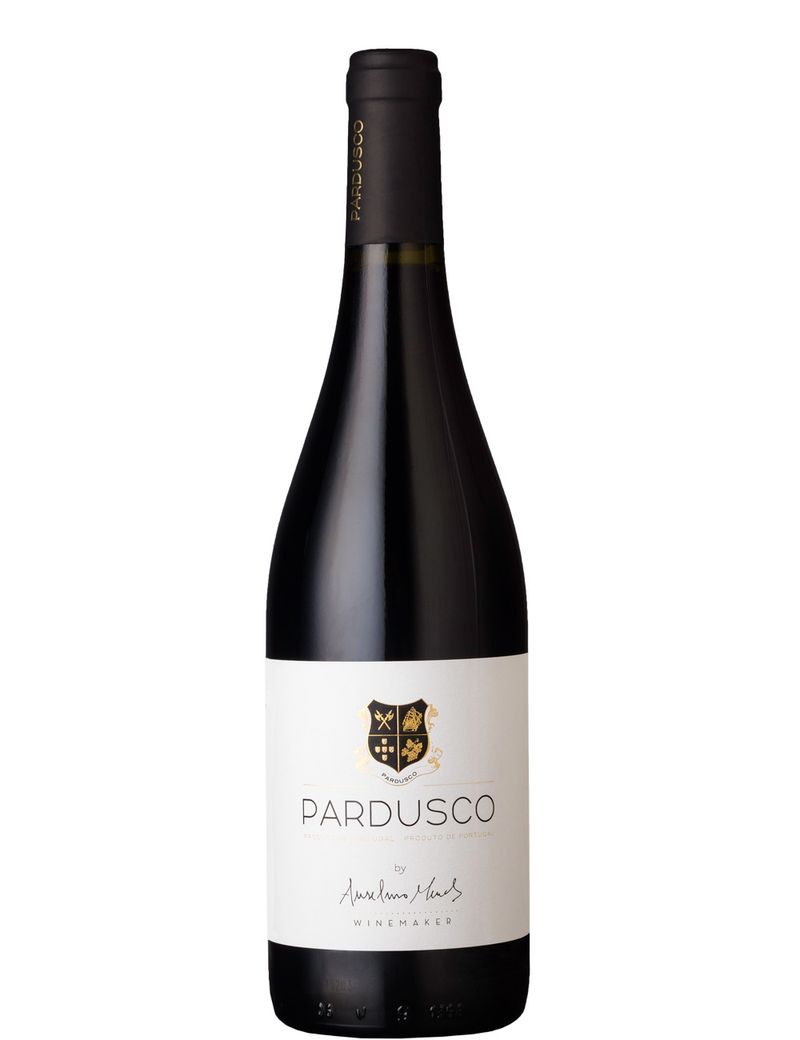 Anselmo-Mendes-Pardusco-2021