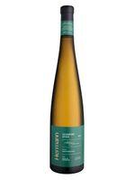 Hermann-Alvarinho-Jovem-2024