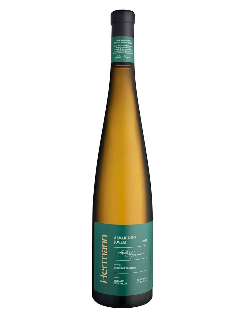 Hermann-Alvarinho-Jovem-2024