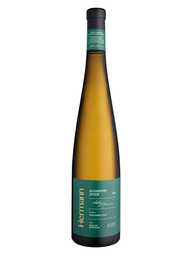 Hermann-Alvarinho-Jovem-2024