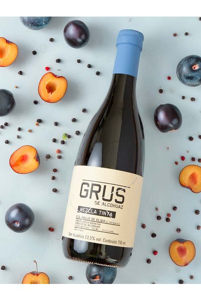 Viñedos de Alcohuaz GRUS 2019