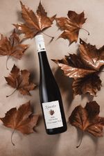 14-Kunstler-Riesling-Estate_2558_Leo-Laps-Fotografia