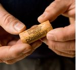 corkDonnhoff_MMW6255