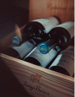 Foto-produto-Still--7-