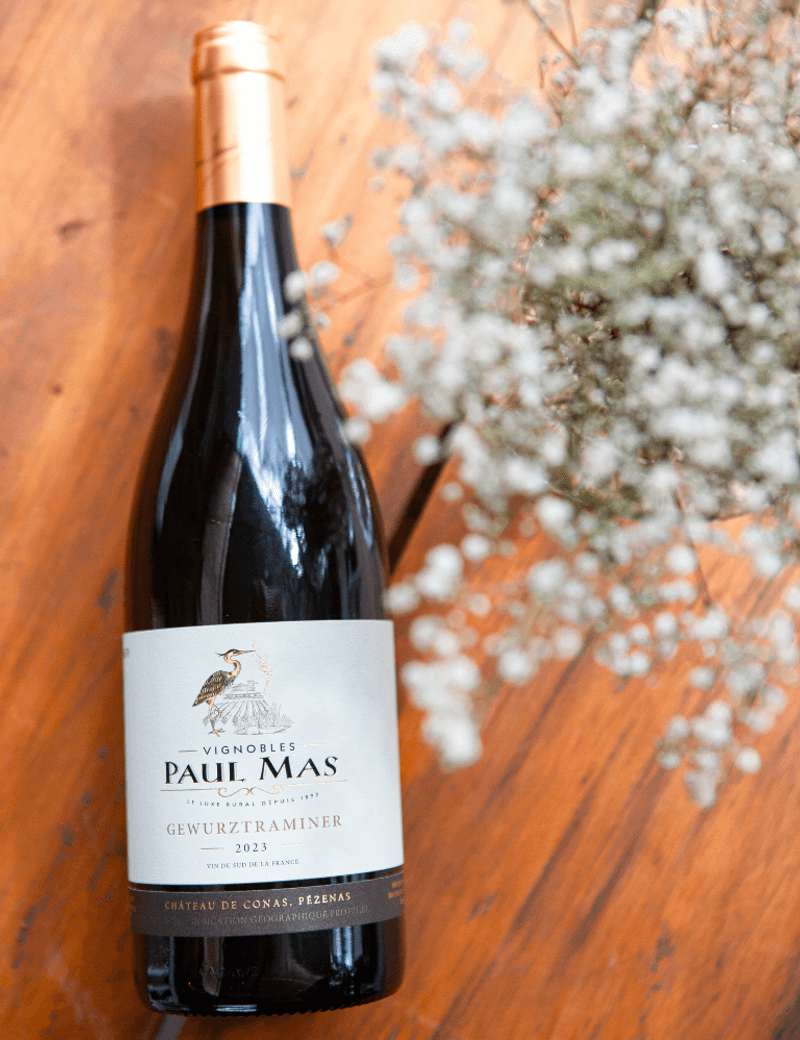 Foto-produto-Still---2025-09-08T155607.669