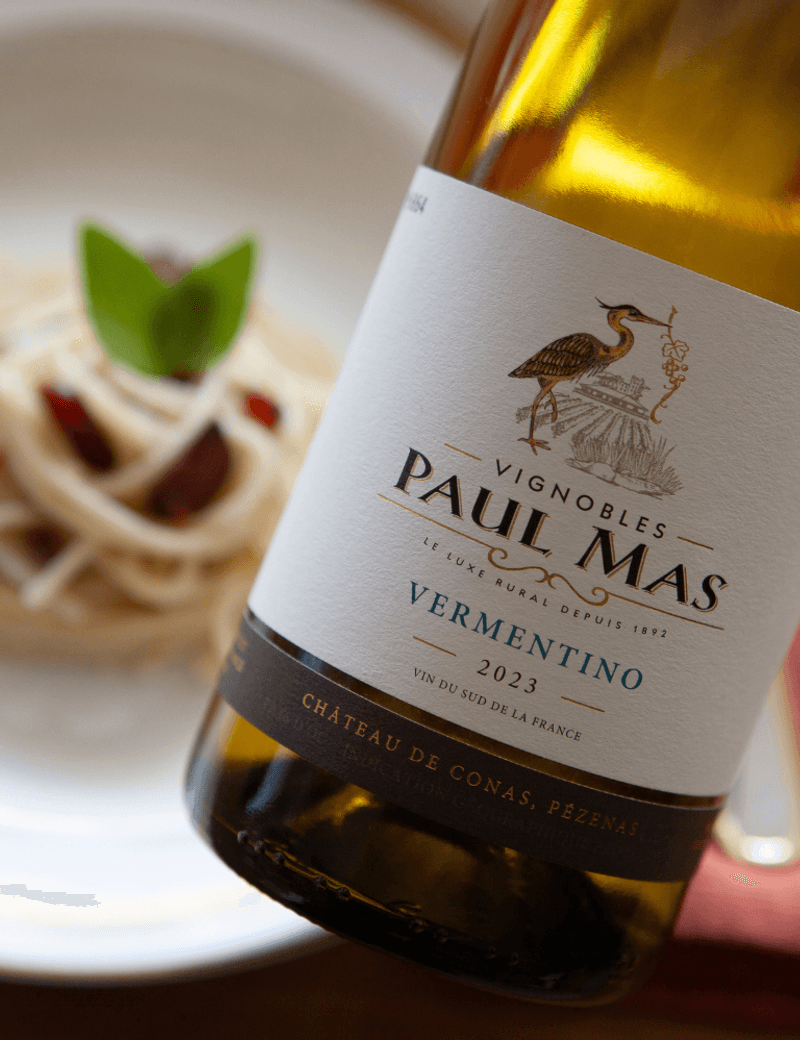 Foto produto Still - 2025-09-08T155907.116