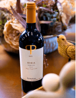 Foto-produto-Still---2025-10-07T153908.104