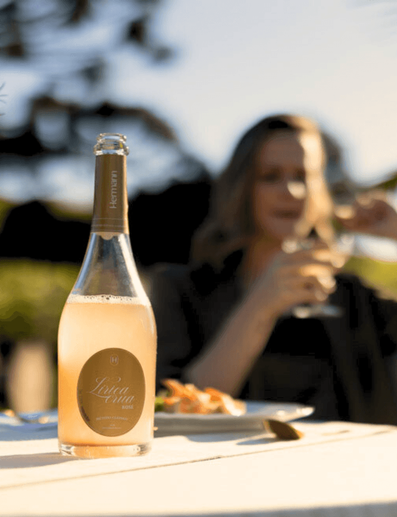 Foto-produto-Still---2025-10-27T094434.098