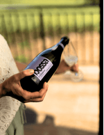 Foto-produto-Still---2025-10-23T174307.063