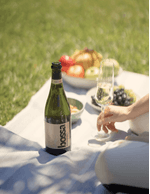 Foto-produto-Still---2025-10-23T162907.128