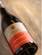 Foto produto Still - 2025-11-10T172724.139