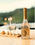 Foto-produto-Still---2025-11-13T135820.231