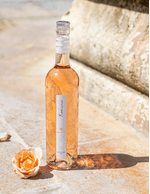 Foto-produto-Still---2026-01-09T083253.125