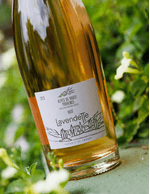 Foto produto Still - 2026-01-09T084915.102