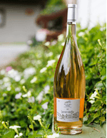 Foto produto Still - 2026-01-09T084848.371