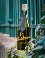 image - 2026-01-14T080710.311