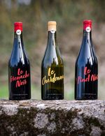 image - 2026-01-14T080715.952