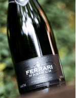 Foto-produto-Still---2026-01-19T112941.068