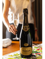 Foto produto Still - 2026-01-19T133732.097