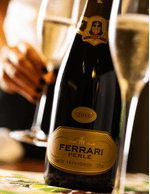 Foto produto Still - 2026-01-19T133803.113