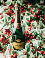 Foto-produto-Still---2025-09-26T114022.959