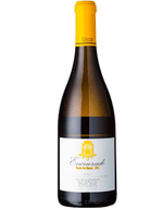 Foto produto Still - 2026-01-29T103449.233