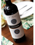 Foto produto Still - 2026-03-11T154734.153