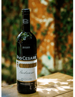 Foto produto Still - 2026-03-11T154851.174