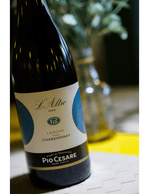 Foto produto Still - 2026-03-11T160131.114