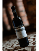 Foto produto Still - 2026-03-11T160702.116