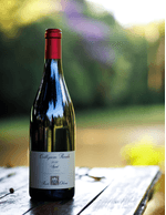 Foto produto Still - 2026-03-20T110102.141