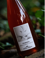 Foto produto Still - 2026-03-20T113119.547