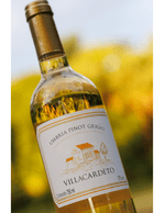 Foto produto Still - 2026-03-20T141241.230